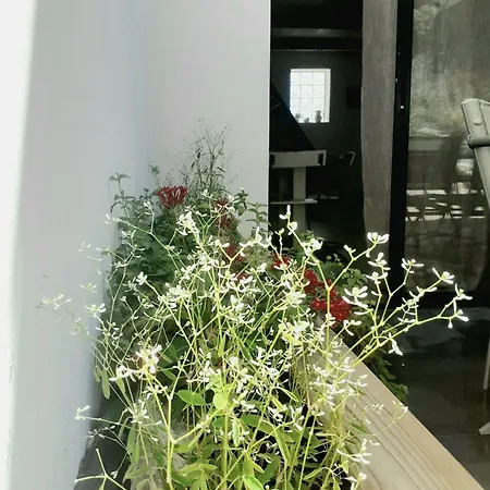 Charmant Duplex Avec Jacuzzi Aumelas Extérieur photo