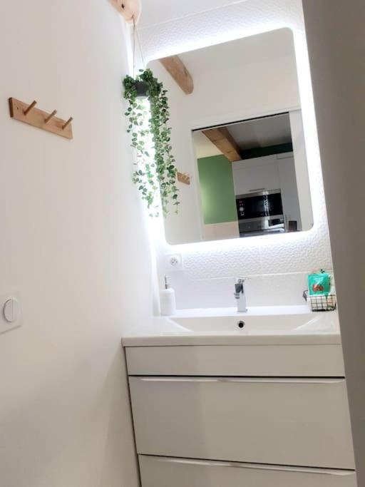 Duplex Avec Jacuzzi *