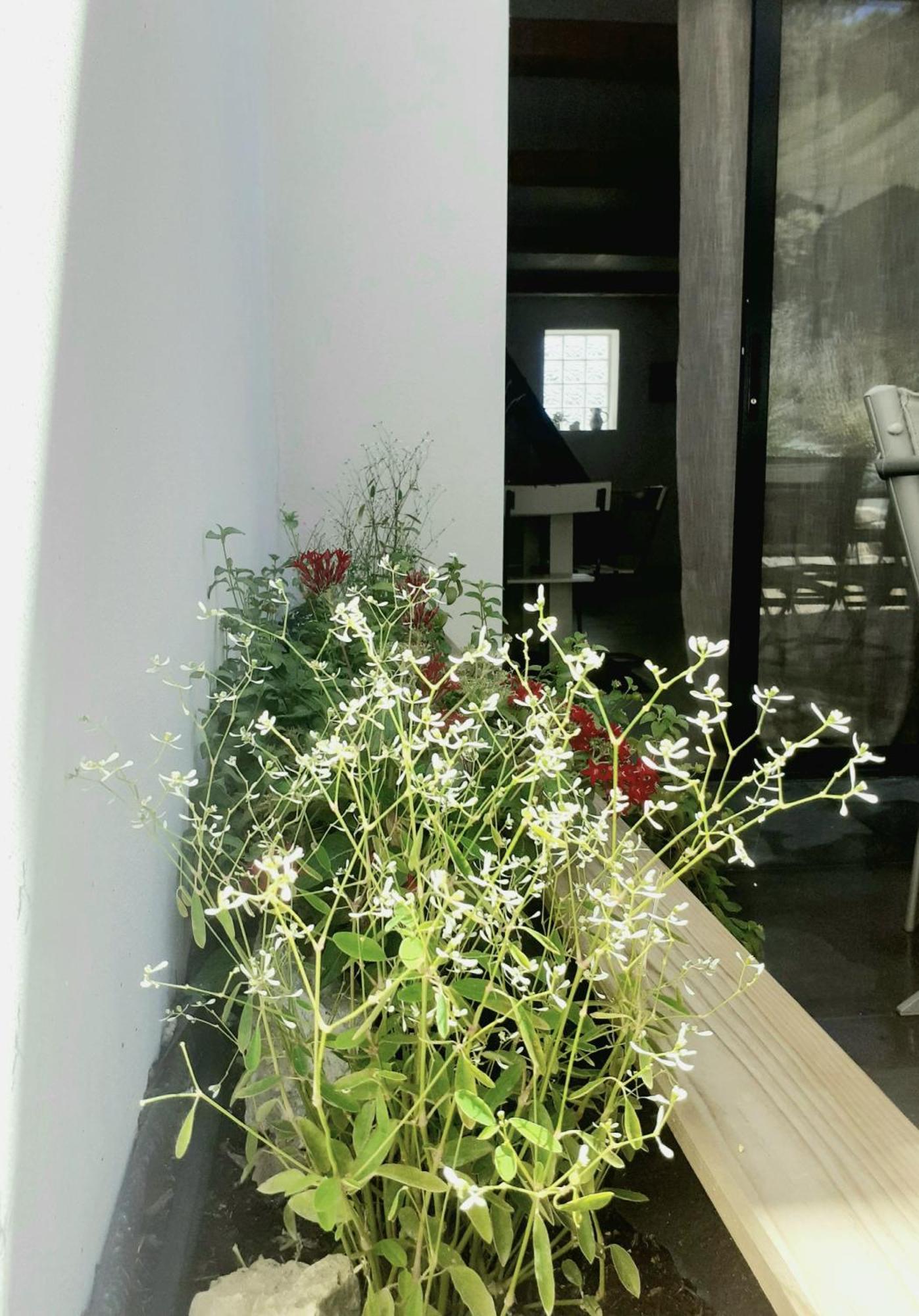 Duplex Avec Jacuzzi Ferienhaus Aumelas